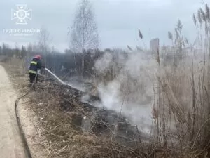 Гасіння пожежі
