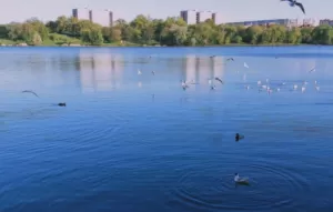 Екологи перевірили водойми Сум