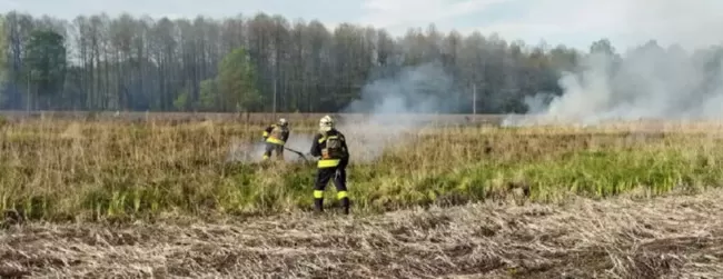 Рятувальники ДСНС наголошують про небезпечність випалювання трави.