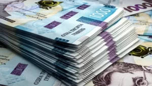 З 1 серпня на Сумщині запрацювали нові правила щодо виплат для ВПО.