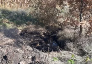На Сумщині знову розлилася нафта