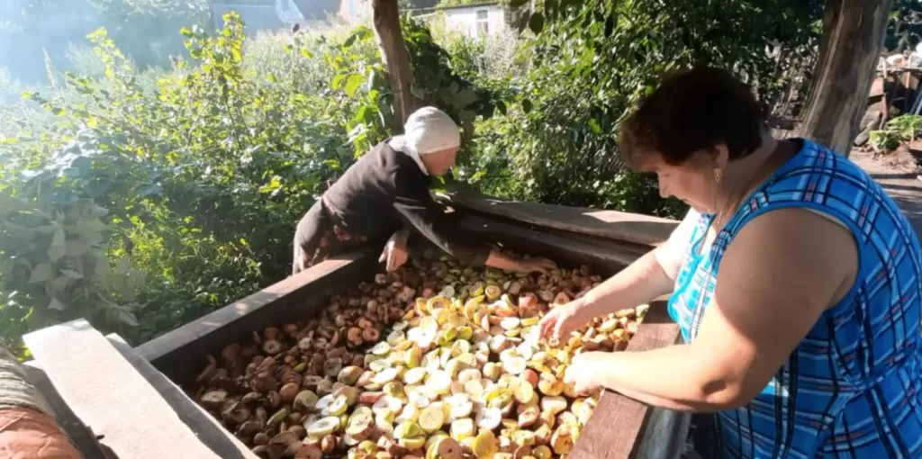 Охтирську фруктову сушку додали до переліку нематеріальної культурної спадщини України