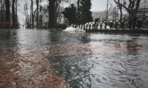 Прогноз погоди в Сумах 12-14 лютого
