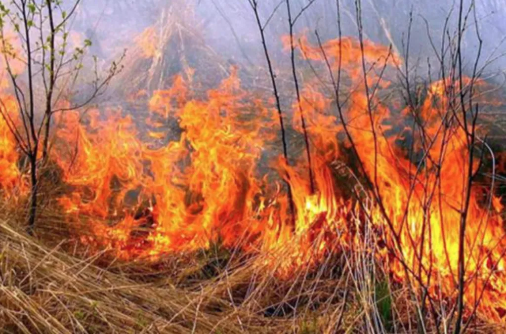 На Сумщині 4 та 5 травня оголошено підвищену пожежну небезпеку