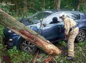Рятувальники продовжують ліквідувати наслідки негоди на Сумщині: звільнили автівку з-під дерев