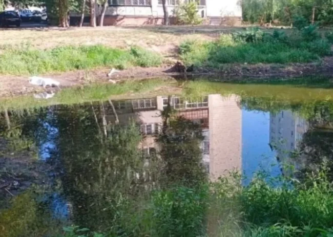 В Сумах в озері виловили тіло потопельника
