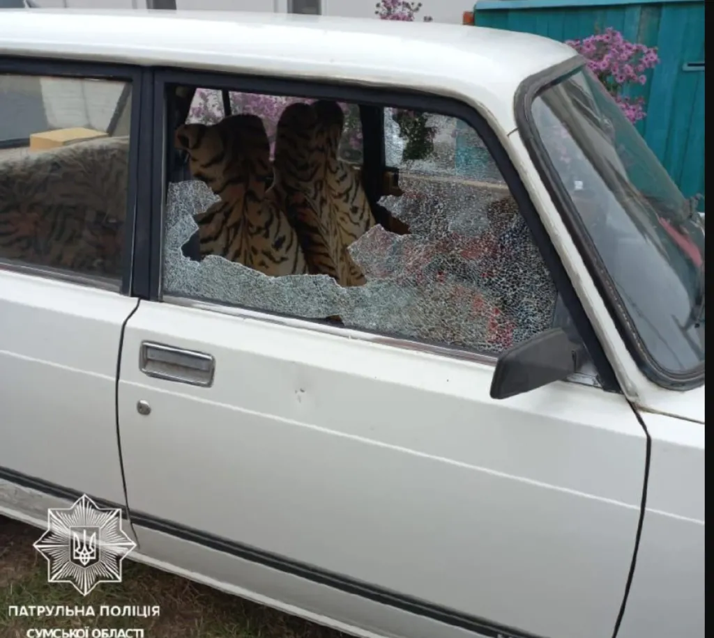 Поліція Сум затримала хулігана, який спотворив поштомат та автівку