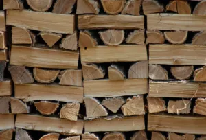 Реакція Зеленського на "закон про дрова": він не підпише