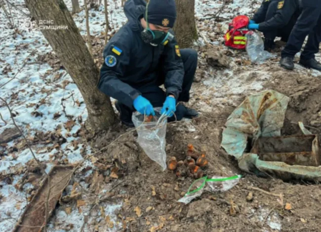 На Сумщині виявили 5 кілограмів ртуті в лісі