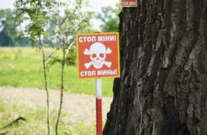 На Сумщині чоловік загинув через вибух міни поблизу кордону