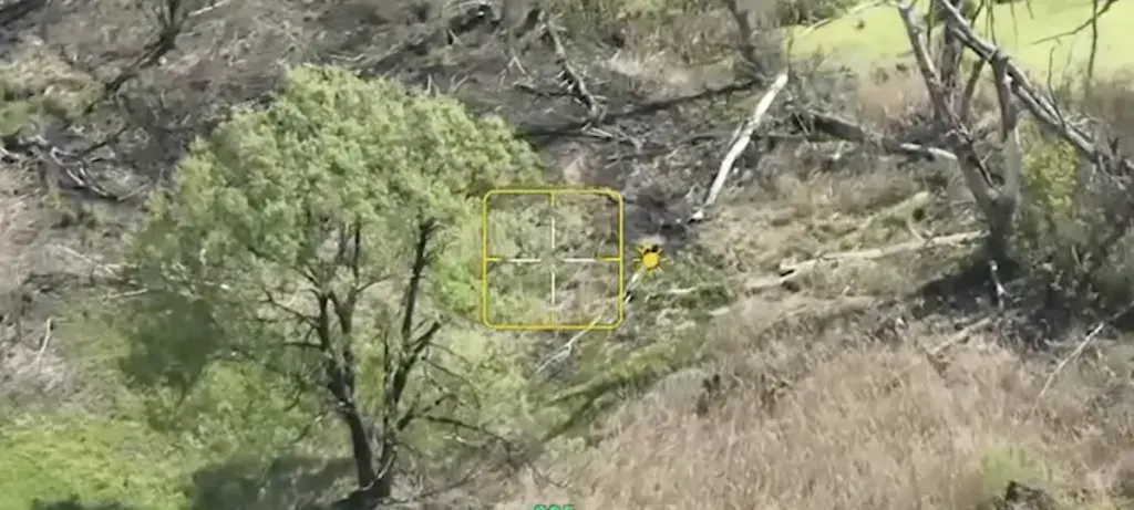 На Сумщині воїни "Сталевого кордону" ліквідували ворожий бліндаж і окупантів