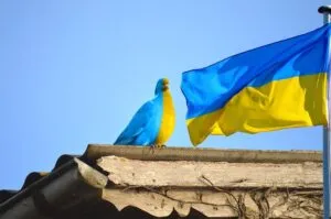 Міжнародний благодійний фонд - розвиток волонтерства та підтримка Збройних Сил України