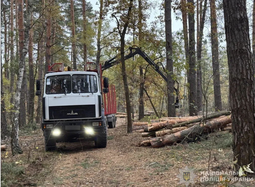 У Конотопському районі трьох людей підозрюють у порушенні техніки безпеки, що призвело до смерті працівника під час лісозаготівель