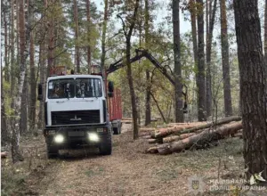 У Конотопському районі трьох людей підозрюють у порушенні техніки безпеки, що призвело до смерті працівника під час лісозаготівель