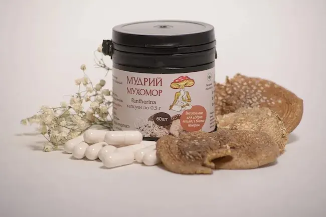 Мухомор пантерний: що це за гриб