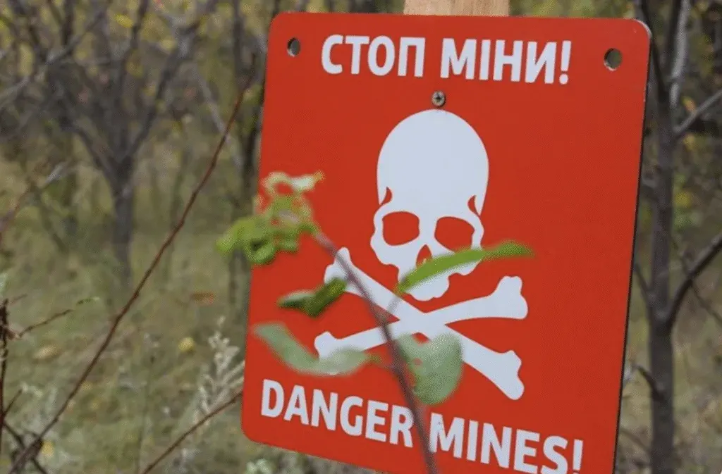 На Сумщині подружжя наїхало на міну