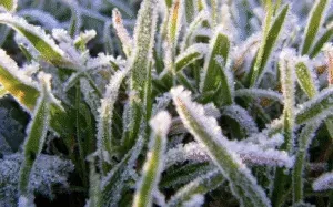 Прогноз погоди в Сумах 25-27 вересня 2025: очікують заморозки
