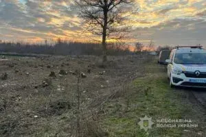 На Сумщині поліція розслідує масову незаконну вирубку у лісосмузі Охтирського району
