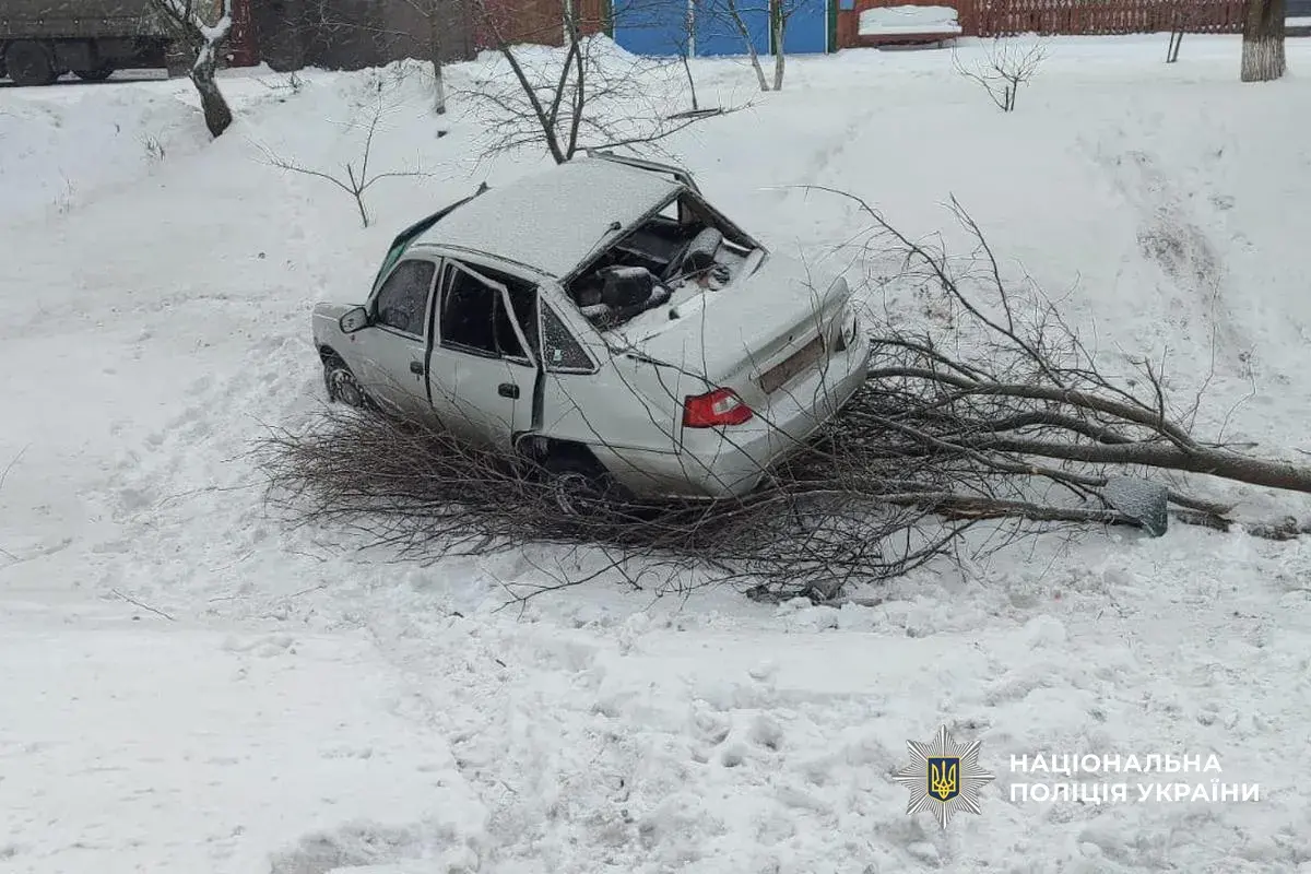 ДТП на Сумщині: неповнолітня водійка врізалася в дерево, постраждали троє людей