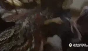 Поліцейські на Сумщині витягли з будинку родину з дитиною після отруєння газом