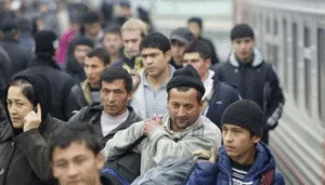 Уряду пропонують припинити геноцид українців: замість мігрантів треба надавати більше бронювання