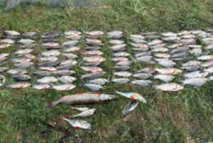 На Роменщині двох чоловіків спіймали на браконьєрстві: збитки сягнули майже 280 тисяч гривень