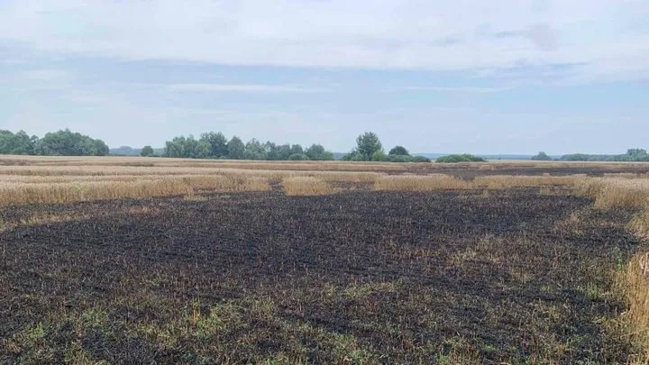 На Сумщині масштабні пожежі знищили зернові поля: оцінюють збитки