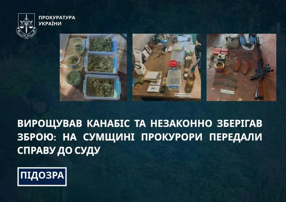 На Сумщині судитимуть чоловіка, який вирощував канабіс та зберігав зброю