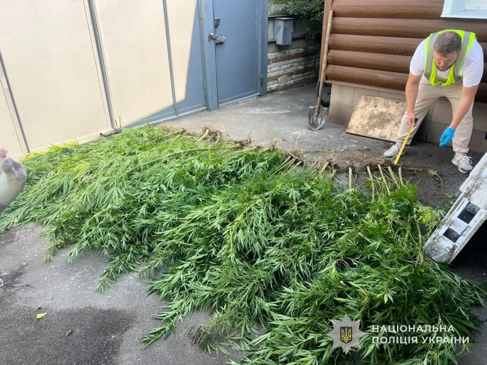 На Сумщині виявили понад 18 кг канабісу та 327 кущів конопель