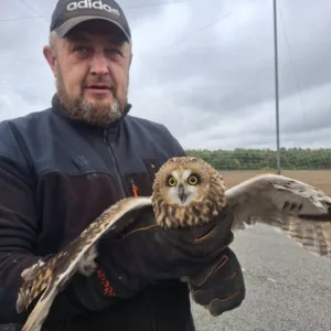 На Сумщині врятували сову, яка застрягла в антидроновій сітці
