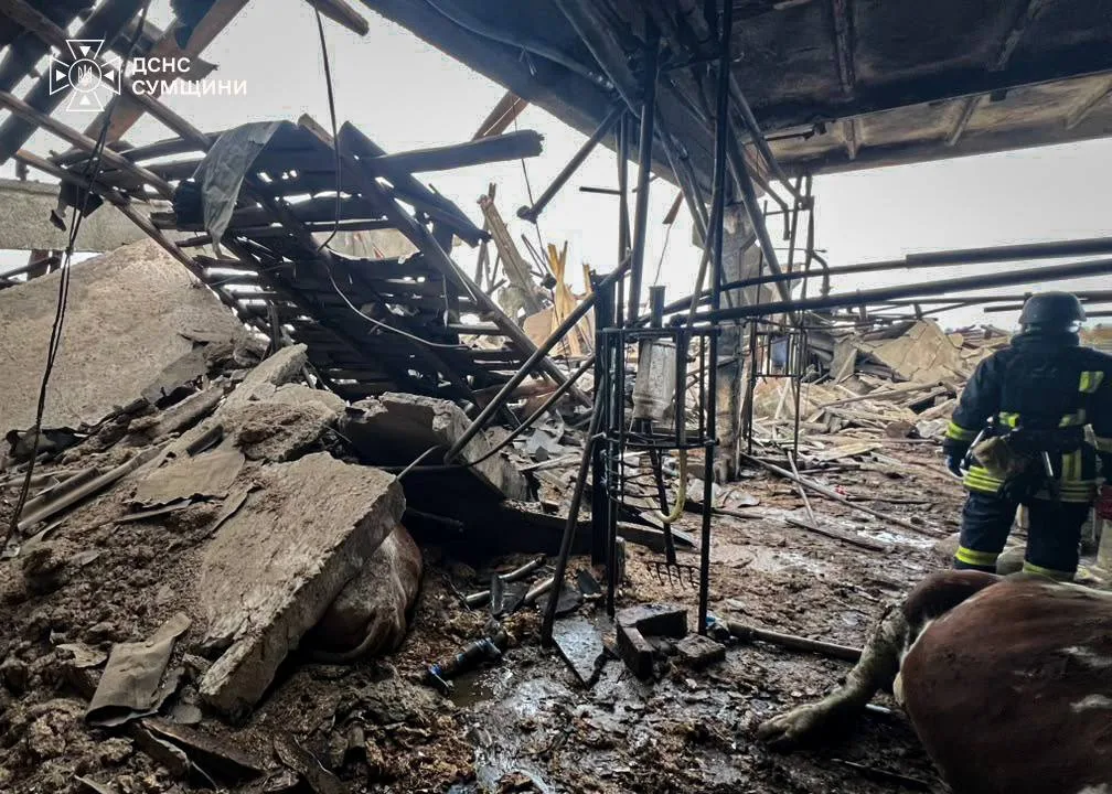На Конотопщині знайшли тіло загиблої жінки під завалами ферми після атаки БпЛА